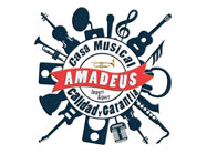 Casa m&aucute;sica Amadeus